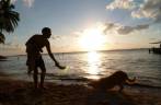 Brincando com o cachorro do Chris em praia de Tobacco Caye, na grande barreira de corais de Belize